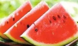 新密瓜怎么吃,探索美味新体验