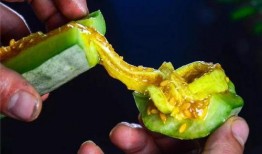 羊角瓜可以吃皮,美味与营养的双重享受