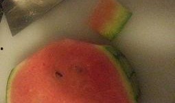 懒人怎么吃瓜视频,一视频带你轻松了解热门事件