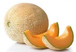 天气冷吃哈密瓜的说说,哈密瓜甜蜜来袭——寒冷天气中的甜蜜选择”