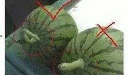 吃瓜有声音图片,揭秘网络热议背后的真相