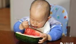 十多个月宝宝吃贝贝瓜