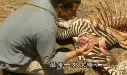 吃瓜节荒野求生