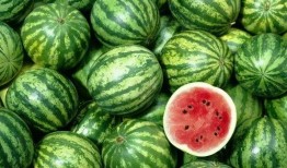 吃瓜冰岛,探寻吃瓜冰岛的独特风味