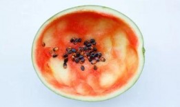 吃瓜勺子娃娃,揭秘网红玩具背后的故事