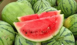 甜吃瓜图片,视觉与味蕾的双重享受