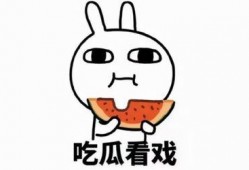 国乙吃瓜bot,网络舆论场的新宠儿