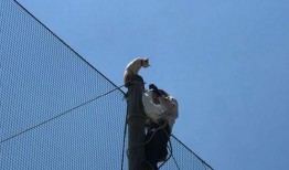 铁柱吃瓜,揭秘娱乐圈背后的那些事儿