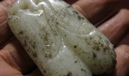 晚上吃白玉瓜,营养美味，健康养生新选择