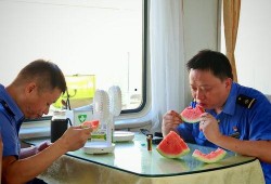 吃瓜旅客,一场关于旅行与美食的狂欢之旅