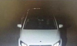 汽车圈吃瓜图鉴,揭秘行业风云背后的八卦故事