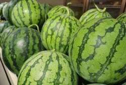 正正吃瓜,揭秘娱乐圈那些不为人知的幕后故事