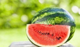 广东夏天吃的瓜,广东夏日特色瓜果大盘点