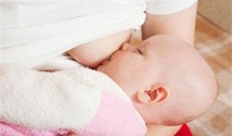 哺乳吃八凌瓜吗,八凌瓜的营养与食用指南