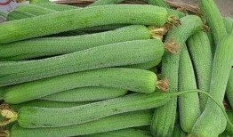 怎么让不爱吃瓜的人吃瓜,揭秘瓜类美食的魅力