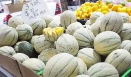 墨尔本留学圈吃瓜,揭秘留学生活中的“吃瓜”趣事