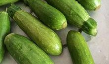 小角瓜可以凉拌吃吗,小角瓜凉拌新吃法