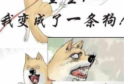 吃瓜看戏小说免费阅读,免费阅读小说中的悬疑世界