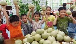 吃瓜群众看风景,吃瓜群众视角下的风景盛宴