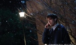 日常吃瓜陈飞宇,吃瓜日常，揭秘娱乐圈幕后故事