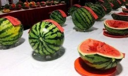 吃瓜在线大赛,全民狂欢，瓜界盛宴