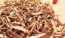 当归这个瓜给我吃,探寻古老瓜果的现代魅力