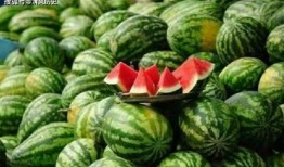 吃瓜339,一场网络热点的狂欢与反思