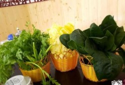 巨野小区吃瓜,揭秘邻里间的甜蜜纠纷