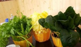 巨野小区吃瓜,揭秘邻里间的甜蜜纠纷