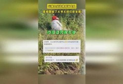 边境吃瓜大爷大妈,大爷大妈的边境生活剪影