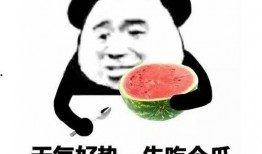 旁边吃瓜表情包图片,揭秘表情包背后的故事