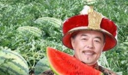 宫本吃瓜,揭秘娱乐圈背后的那些事儿