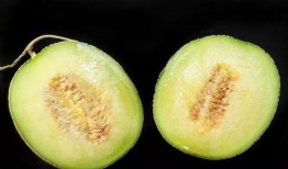 吃瓜刺激嗓子,揭秘嗓子疼痛的真相与防护措施