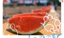 吃的很认真瓜,探寻美食中的专注与享受