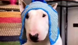 红雷哥吃瓜教学视频,揭秘娱乐圈幕后真相