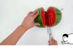 快到了吃瓜的季节,迎接吃瓜季的甜蜜狂欢