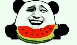 大飞吃瓜视频,揭秘娱乐圈幕后真相，带你领略明星们的真实生活