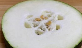 什么瓜冬天吃,探寻冬季养生美食“什么瓜”的秘密