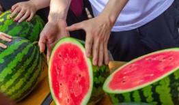 长沙学校吃瓜事件,校园食品安全风波引发关注