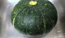 成都金沙公园吃瓜,悠闲生活新体验