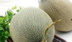 胖胖的吃哈密瓜,甜蜜滋味中的健康生活