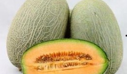 吃梅子可以吃哈密瓜吗,探寻梅子与哈密瓜的奇妙组合