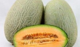 梦见全家人吃哈密瓜好甜,全家人共享哈密瓜的温馨时刻