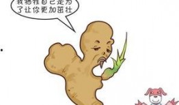 吃瓜小熊中毒视频,惊险一幕引关注