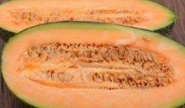 吃棒棒糖可以吃哈密瓜吗,跨界美食的奇妙邂逅