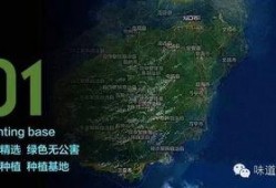 18度吃瓜北纬,探寻瓜果飘香的秘密之旅