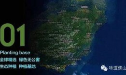 18度吃瓜北纬,探寻瓜果飘香的秘密之旅