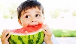 真吃瓜真摸鱼,揭秘网络时代的娱乐生活