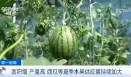 dwan吃瓜群众,揭秘娱乐圈幕后风云