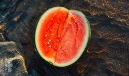 桐子吃瓜,揭秘瓜果背后的故事与营养